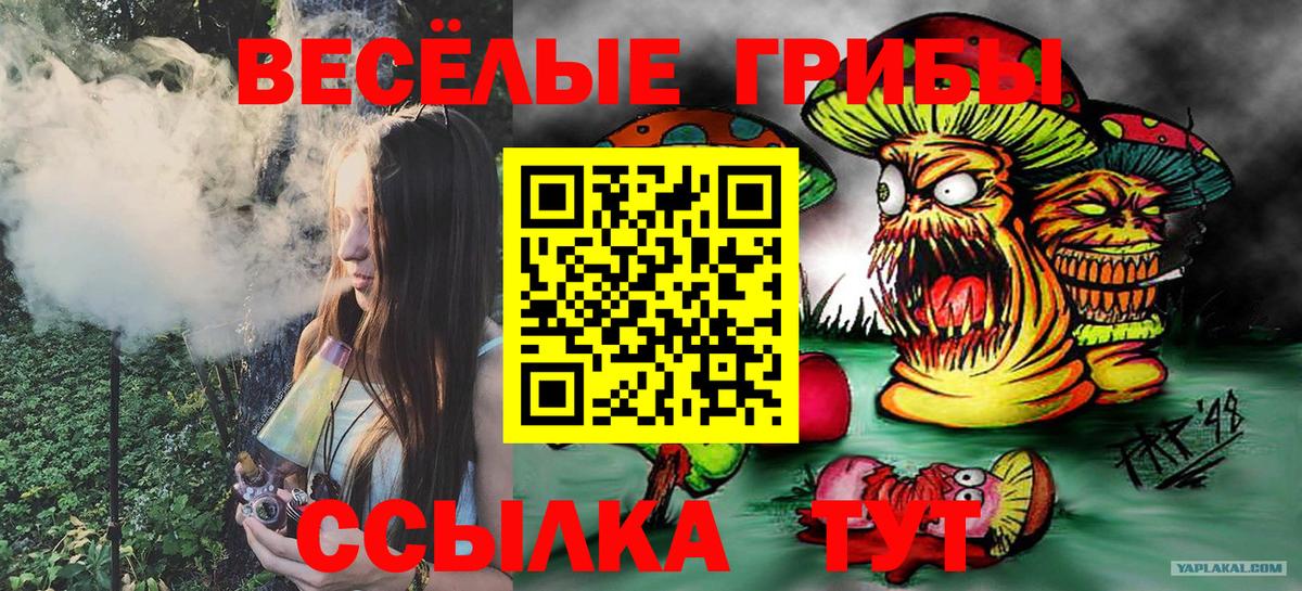 Галлюциногенные грибы Psilocybe  Вход с VPN  Кириши  Псилоцибиновые грибы Psilocybine cubensis 