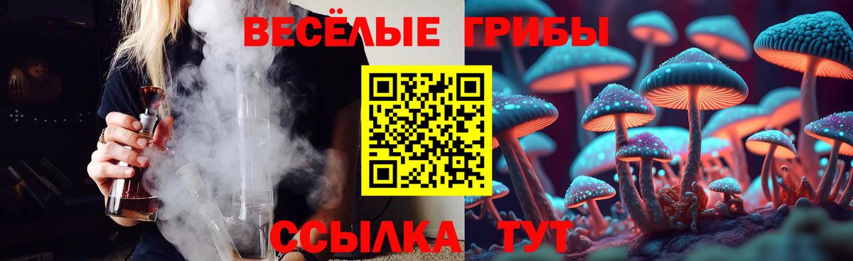 Псилоцибиновые грибы Magic Shrooms Кириши
